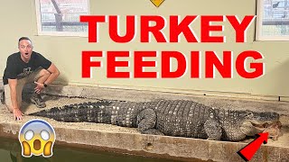 How The Alligators Eat On Thanksgiving [upl. by Meid975]