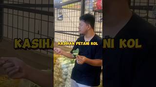 Kol Putih Rp1500kg bagaimana dengan petani [upl. by Irehj492]