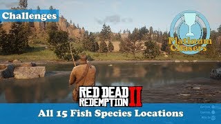 All 15 Fish Species Locations Survivalist Challange 10  Red Dead Redemption 2 [upl. by Nawuq]