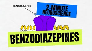 2Minute Neuroscience Benzodiazepines [upl. by Monte]