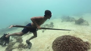 EARTH DAY DIARY – Badjao Spearfishermen Spearfishing in Bohol Philippines [upl. by Strain]