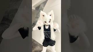 who else hates men xD🙄 furry cosplay costume uwu fursuit cutecore syris credits   kigfur [upl. by Yahsal]