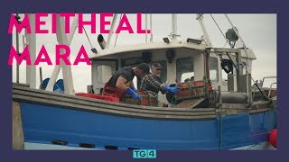 Meitheal Mara Chorca Dhuibhne  53  1930  TG4 🐟 [upl. by Nnahoj756]