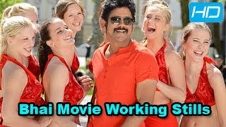 Bhai Movie woking Stills  Nagarjuna  Richa Gangopadhyay [upl. by Savdeep385]