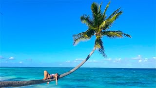 THE SHARKS amp TREES OF FAKARAVA [upl. by Pamelina66]