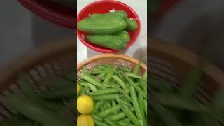 Muli ke Pate Ki Sabji Bana Li 😋 Short  youtube Shorts [upl. by Abbott208]