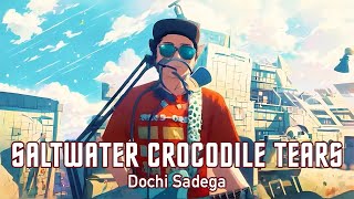 Dochi Sadega  Saltwater Crocodile Tears [upl. by Aivital]