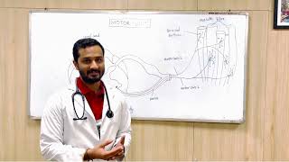 Fasciculations Fibrillations amp Myokymia Department of General Medicine DMIHER [upl. by Kimitri]