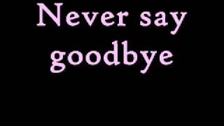 Bon Jovi  Never Say Goodbye Lyrics [upl. by Nyleaj952]