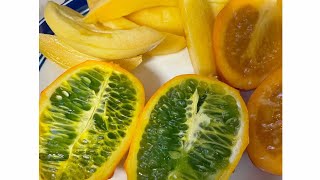 SLICING TAMARILLOHORNED MELON amp PEPINO MELON  FRUITS [upl. by Kubetz]