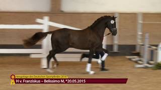 Franziskus  Belissimo M 2015 [upl. by Enilamme]