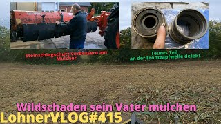 LohnerVLOG415 Wildschaden mulchen I Steinschlagschutz am Heckmulcher I Fendt 926 Frontzapfwelle [upl. by Nolitta43]