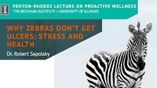 quotWhy Zebras Dont Get Ulcers Stress and Healthquot by Dr Robert Sapolsky [upl. by Ennaxxor858]