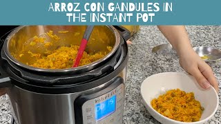 Arroz con Gandules in the Instant Pot [upl. by Eneladgam]