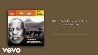 iNyosi uMdletshe  iNgonyama uZwelithini Visualizer [upl. by Carlton]