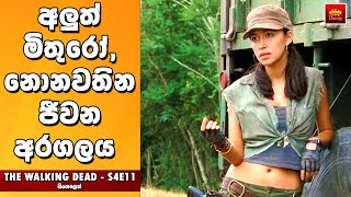 ද වෝකින් ඩෙඩ් S4E11  TV Series Sinhala Review  Home Television Sinhala TV Series Review [upl. by Fredel]