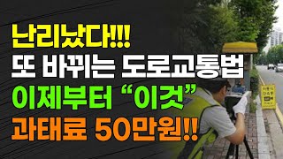 긴급 난리났다 또 바뀌는 도로교통법 7월부터 quot이것quot 과태료 50만원 [upl. by Forlini471]