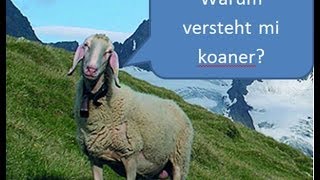 WARUM versteht mich niemand  Dialekte [upl. by Aleen422]