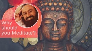 Why Should You amp Everyone You Know MEDITATE  Gurudev Sri Sri Ravi Shankar [upl. by Inat706]