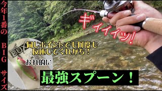 【本流】このスプーンを川底に叩いたり、転がしたり、跳ねさせると、今年1デカいサイズが食ってきた！！ [upl. by Hoeve]