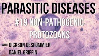 Parasitic Diseases Lectures 19 NonPathogenic Protozoans [upl. by Artinek787]