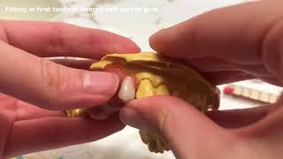 Make the PERFECT Denture DoItYourself Dentist Quality DIY Best Dentures [upl. by Debby]