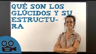 Qué son los glúcidos y su estructura [upl. by Marcus38]