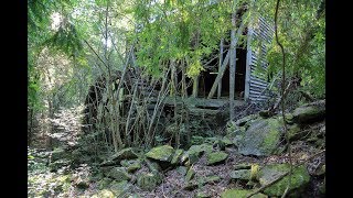 Forgotten Water Mill Discovered Intact In The Woods So Cool Grist Mill [upl. by Jempty616]