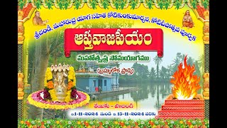 APTHA VAJAPEYA YAGAM  12th DAY [upl. by Roseanna]