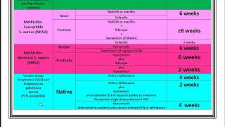 Infective Endocarditis Review and Summary [upl. by Hiett]