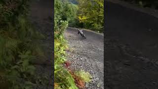 HOW DOES DYFI BIKE PARK RUN IN THE WET mountainbike athertonbikes mtbdh dyfibikepark [upl. by Jeanelle]