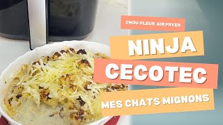 Choufleur 🌱 au Air Fryer  Ninja Cecotec Cosori amp mes chats trop mignons [upl. by Switzer]