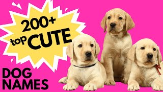 Top 200 CUTE Dog Names  New Puppy Names  Super Cute [upl. by Atiuqrehs]