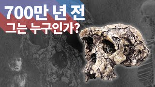 700만 년 전 그는 우리와 침팬지의 공통 조상인가 [upl. by Krantz]