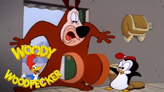 Chilly Willy vs Smedley  Woody Woodpecker [upl. by Letnuahs]