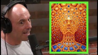 Joe Rogans DMT Experiences [upl. by Htebyram]