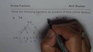 Write Numbers as Product of their Prime Factors [upl. by Assilem]