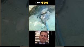 Heart touching 🥹💯🦀 latest amazing foryou viralvideo trending latestnews new now follow [upl. by Larimore]