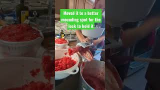 Weston tomato press and sauce maker time lapse [upl. by Aillil]