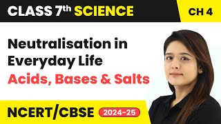 Neutralisation and Neutralisation in Everyday Life  Acids Bases and Salts  Class 7 Science Ch 4 [upl. by Marzi487]