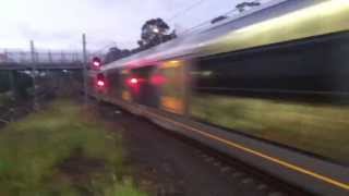 CityRail T Set races past Toongabbie [upl. by Hanforrd]