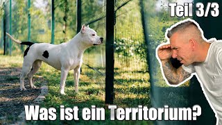 Kennst DU das Territorium deines Hundes  individualdistanz 33 [upl. by Inej]