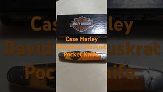 Case Harley Davidson Muskrat Pocket Knife Orange Smooth Bone [upl. by Ahsinam]