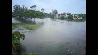 LIVE লক্ষ্মীপুর সরকারি কলেজে এক দফা দাবিতে শিক্ষার্থীদের বিক্ষোভ Noakhali tv🟥 [upl. by Jacie]