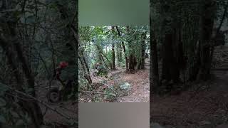 ROCKY STEP  TURN  STEEP MULTIPLE ROCKY SLABS  Trial Montesa 301 honda trials extreme training [upl. by Balfour418]