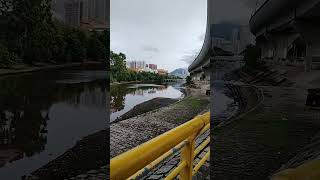 tai wai bridge shortvideo [upl. by Barclay887]