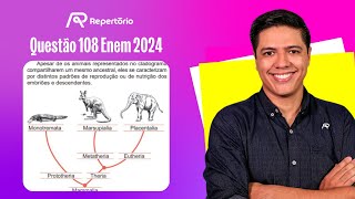 ENEM 2024 Questão 108 Apesar de os animais representados no cladograma [upl. by Fredette604]