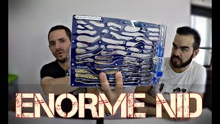 Un énorme nid de fourmis  Fourmishome EP 4 fin [upl. by Maze462]