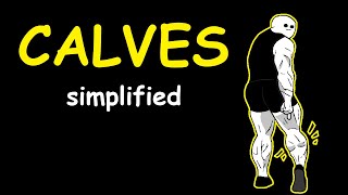 Bodybuilding Simplified Calves [upl. by Yevre]