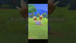 Uncover Binacle Spotlight Hour Secrets  Pokémon GO Ultimate Guide [upl. by Figueroa]